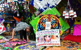 Makara Sankranti Kite Festival