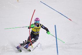 SPORT INVERNALI - Sci Alpino - AUDI FIS Ski World Cup - Slalom - Men