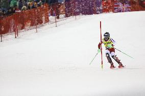 SPORT INVERNALI - Sci Alpino - AUDI FIS Ski World Cup - Slalom - Men