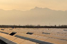 PV Power Plant in Yinchuan