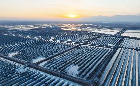 PV Power Plant in Yinchuan