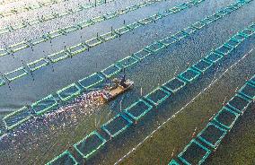 A Crab Breeding Base in Suqian