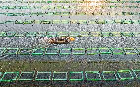 A Crab Breeding Base in Suqian