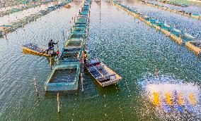 A Crab Breeding Base in Suqian