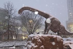 Heavy snow in Japan