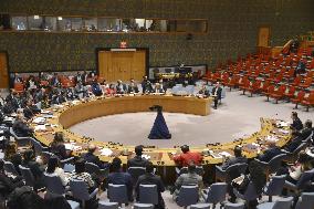 U.N. Security Council on N. Korea's missile firing