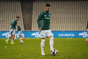 Panathinaikos v Atromitos - Greek Cup