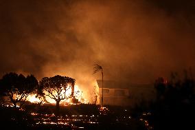 Southern California Wildfires Rage Los Angeles