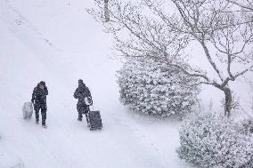 Heavy Snow Hit Yantai