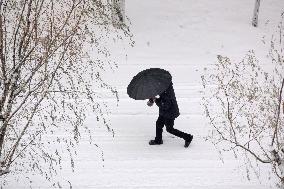 Heavy Snow Hit Yantai