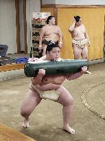 Sumo: Kotozakura