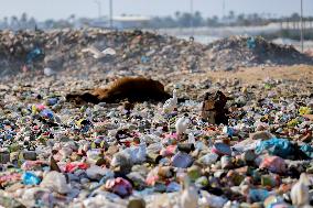 Daily Life Of Displaced Children - Gaza Strip