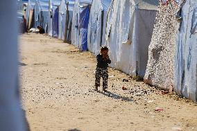 Daily Life Of Displaced Children - Gaza Strip