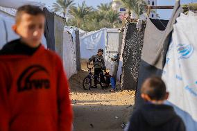 Daily Life Of Displaced Children - Gaza Strip