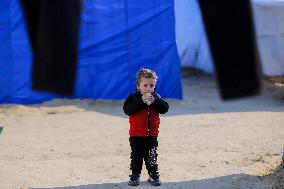 Daily Life Of Displaced Children - Gaza Strip