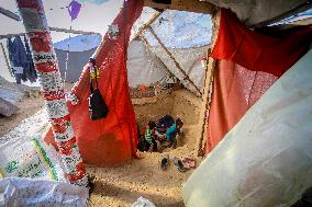 Refugees Seeking Shelter During The Israeli-Palestinian Conflict - Gaza Strip