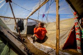 Refugees Seeking Shelter During The Israeli-Palestinian Conflict - Gaza Strip