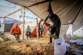 Refugees Seeking Shelter During The Israeli-Palestinian Conflict - Gaza Strip