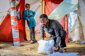 Refugees Seeking Shelter During The Israeli-Palestinian Conflict - Gaza Strip