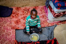 Refugees Seeking Shelter During The Israeli-Palestinian Conflict - Gaza Strip