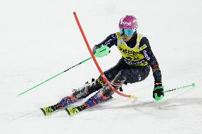 3Tre AUDI FIS Ski World Cup 2024/25 - Men's Night Slalom