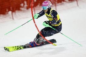 3Tre AUDI FIS Ski World Cup 2024/25 - Men's Night Slalom