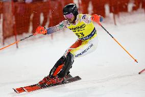 3Tre AUDI FIS Ski World Cup 2024/25 - Men's Night Slalom