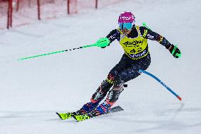 SPORT INVERNALI - Sci Alpino - AUDI FIS Ski World Cup - Slalom - Men