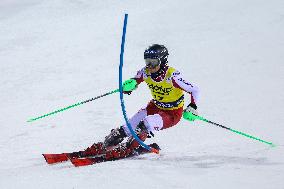 SPORT INVERNALI - Sci Alpino - AUDI FIS Ski World Cup - Slalom - Men