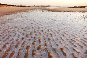 Cold Wave Weather in Qingdao