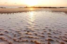 Cold Wave Weather in Qingdao