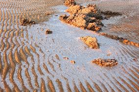 Cold Wave Weather in Qingdao