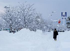 Heavy snow in Japan