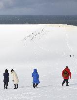 Snow-covered Tottori Sand Dunes