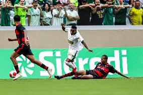 Palmeiras v Oeste - SP Junior Football Cup