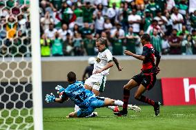 Palmeiras v Oeste - SP Junior Football Cup