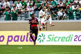 Palmeiras v Oeste - SP Junior Football Cup