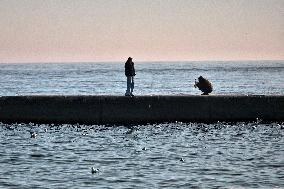 Odesa beach in winter