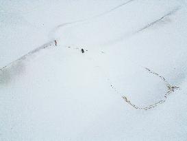 Snowfall in Xinjiang