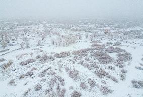 Snowfall in Xinjiang