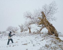 Snowfall in Xinjiang