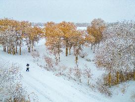 Snowfall in Xinjiang