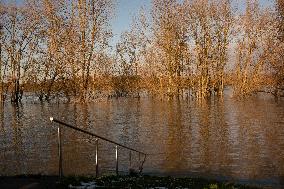 Flood In Cologne