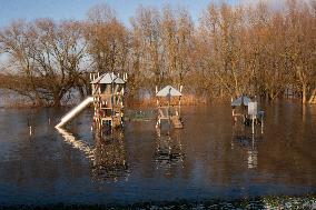 Flood In Cologne