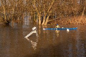 Flood In Cologne