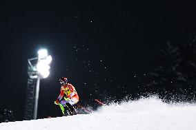 SPORT INVERNALI - Sci Alpino - AUDI FIS Ski World Cup - Slalom - Men