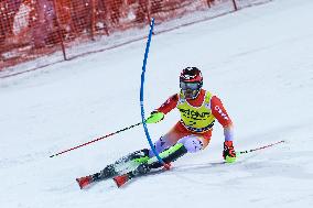 SPORT INVERNALI - Sci Alpino - AUDI FIS Ski World Cup - Slalom - Men