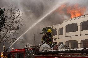 Massive Los Angeles Fires Rage On