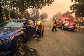 Massive Los Angeles Fires Rage On