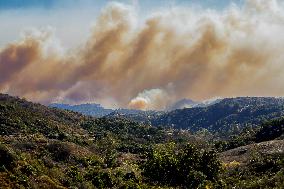 California Wildfires Devastate Palisades